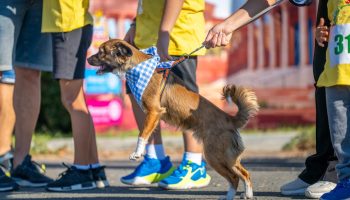 Crosul Copiilor 2025 (12)