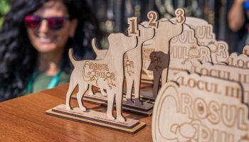 Crosul Copiilor 2025 (21)