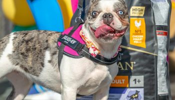 Crosul Copiilor 2025 (23)